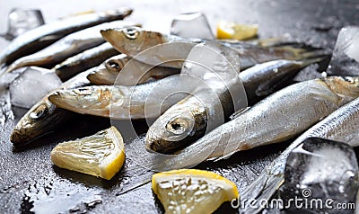 Fresh raw small sea fish, lemon and ice on black background. Stock Photo