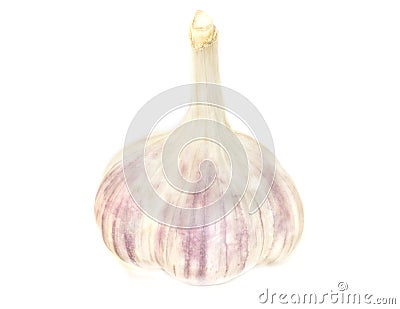 Fresh, real garlic. Stock Photo