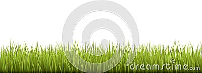 Fresh realistic green grass - vector illustration Vector Illustration