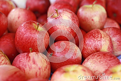 Red apples with fresh market. Stock Photo