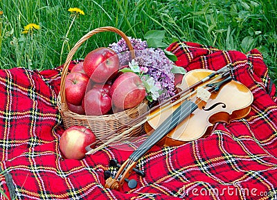 Fresh red apples in a wicker basket in the garden. Picnic on the grass. Ripe apples and violin. Plaid on the grass, apples, violin Stock Photo