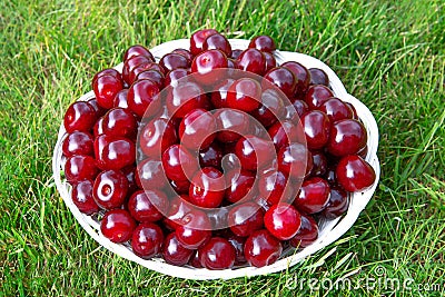 Fresh red cherry in white wicker plate on the lawn.Concept of beneficial properties of cherries for health,using of stone fruits Stock Photo