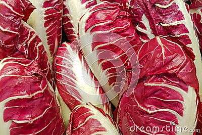 Fresh red chicory background, vegetable texture Stock Photo