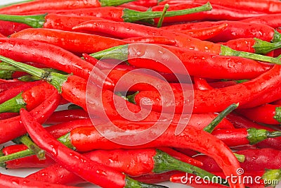 Fresh red chilli. Spicy and spicy food. Stock Photo