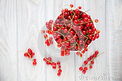 Fresh red currant in a white bowl Stock Photo