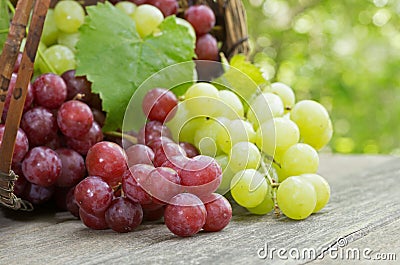 Fresh Red and Green Grapes on a Rustic Wooden Table Stock Photo