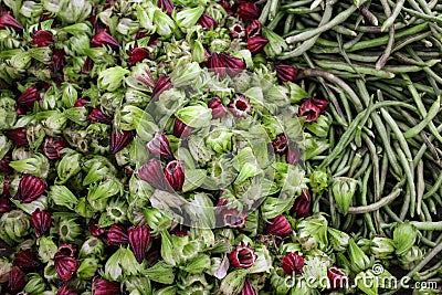 Fresh red and green roselle flowers sale in the market Stock Photo