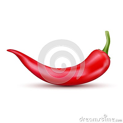 Fresh red hot chili pepper. Kitchen organic vector spicy taste chili mexican pepper Vector Illustration
