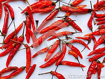 the fresh red hot chili sundries for white background Stock Photo