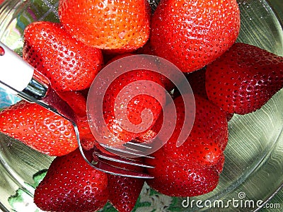 Fresh Red Juicy Tasty Yummy Scrumptious Strawberries Stock Photo