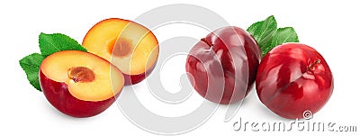 fresh red plum half with leaves isolated on white background Stock Photo