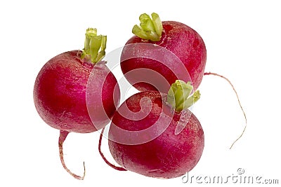 Fresh Red Radish Stock Photo