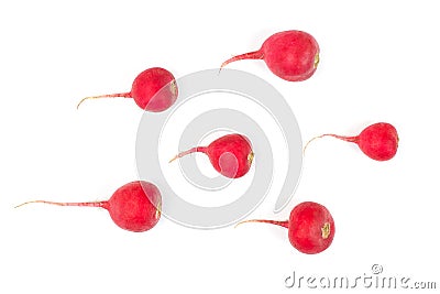 Fresh red radish on a white background Stock Photo