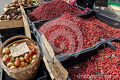 Fresh red ripe lingonberries in plastic boxes on a farmer's market retail display. Close-up Stock Photo