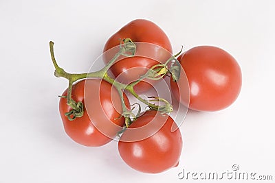 Fresh red tomatoes branch Stock Photo