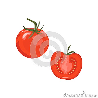 Fresh Red Tomatoes. Vegetable Half Tomato Isolated Vector Illustration