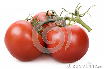 Fresh red tomatos Stock Photo