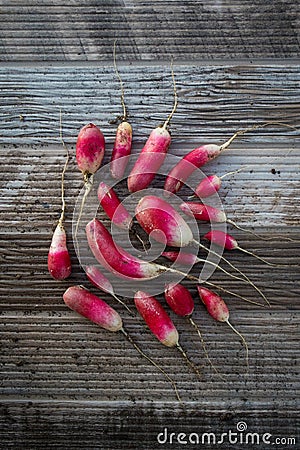 Fresh red radishes in a group on wood background Stock Photo