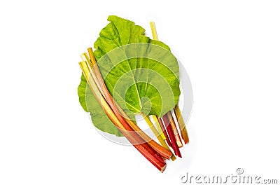 Fresh rhubarb stalks and leaf on white background Stock Photo