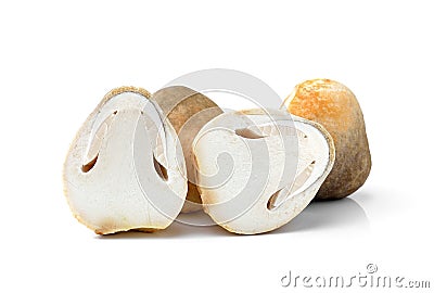 Fresh rice straw mushrooms on white backgr Stock Photo