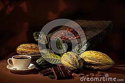 Fresh and rip cocoa pods. Stock Photo