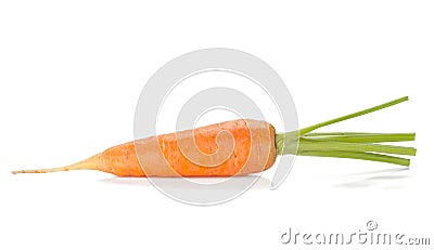 Fresh ripe carrot Stock Photo