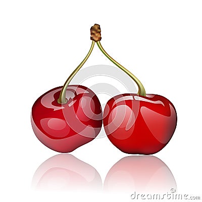 Fresh ripe cherry Vector Illustration