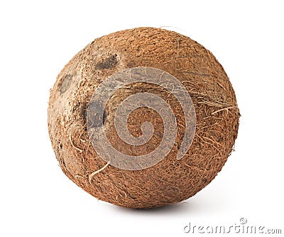 Fresh ripe coconut Stock Photo