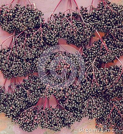 Fresh ripe elderberries on rustic wood plate, flatlay Stock Photo