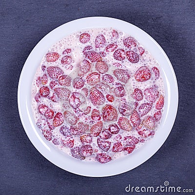 Fresh, ripe, forest strawberries with sour cream and honey in white plate, wild berry. Red strawberries background, top view Stock Photo