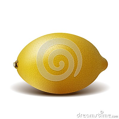 Fresh ripe lemon isolated on white background. Vector Illustration