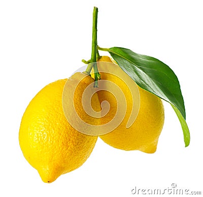 Fresh and Ripe Lemons Stock Photo