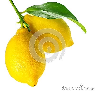 Fresh and Ripe Lemons Stock Photo