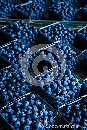 Fresh Ripe Nutritous Blueberries on a Wooden Surface Stock Photo