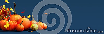 Fresh ripe pumpkins with autumn leaves on dark blue background Stock Photo