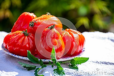 Fresh ripe red beefsteak or coeur de boeuf tomatoes Stock Photo