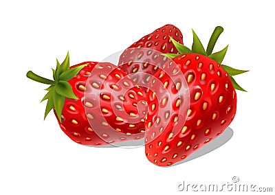 Fresh ripe strawberries on a white background Vector Illustration