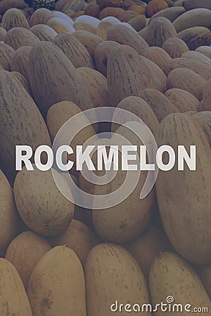 Fresh ripe yellow sweet melons with text: ROCKMELON Stock Photo