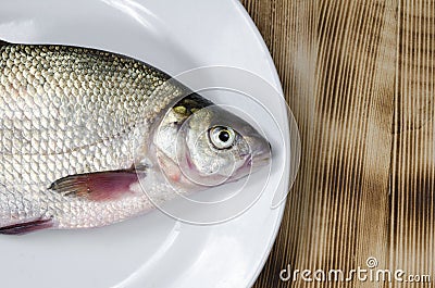 Fresh river bream Stock Photo