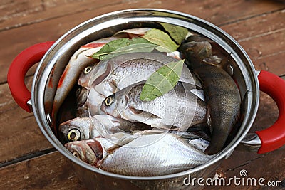 Fresh river fish in bowl Stock Photo