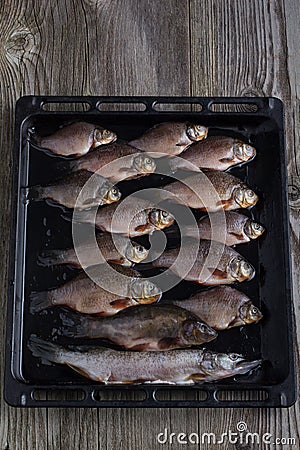 Fresh river fish Stock Photo