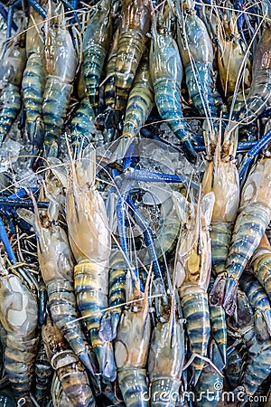 Fresh river shrimp in seafood market Stock Photo