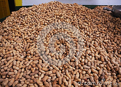 Fresh roasted peanuts Stock Photo