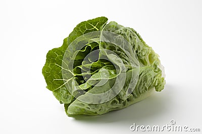 Fresh Romaine Lettuce Stock Photo