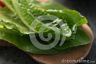 Fresh romaine lettuce leaves on wood board Stock Photo