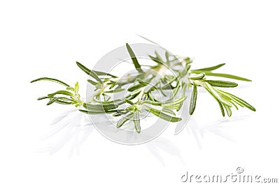 Fresh rosemary Stock Photo