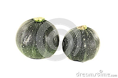 Fresh rotund zucchini Stock Photo