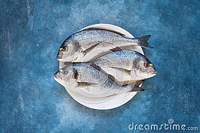 Fresh Royal Dorade on Blue Background. Healthy food concept. Top view, copy space Stock Photo