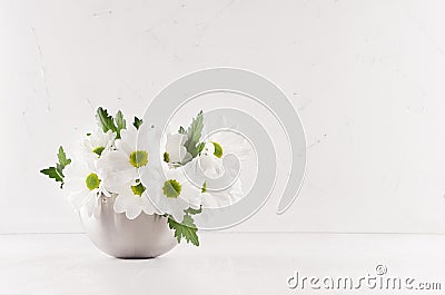 Fresh rural white garden chamomile flowers in glossy grey elegant bowl on soft light white wood board and white plaster wall. Stock Photo