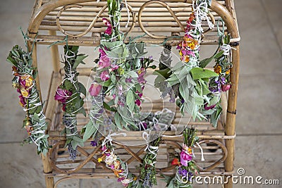 Fresh Sage Smudge Sticks Bound and Hung out for Drying Stock Photo